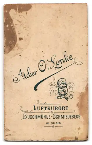 Fotografie O. Lonke, Buschmühle-Schmiedeberg im Erzgeb., Portrait junger Mann im Anzug mit Fliege
