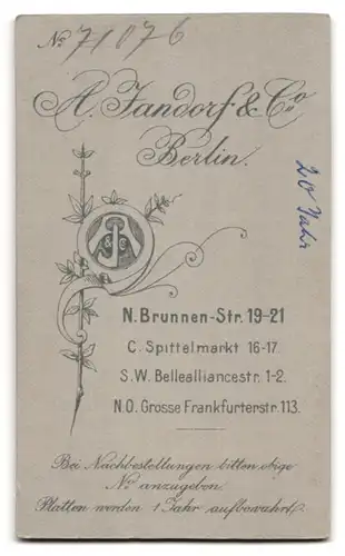 Fotografie A. Jandorf & Co., Berlin-N., Brunnen-Strasse 19-21, Portrait elegante Damemit Hut und Handschuhen