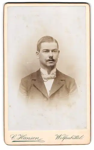 Fotografie Carl Hansen, Wolfenbüttel, Rosenwall u. Neuestrasse 35, Portrait eleganter Herr mit Moustache