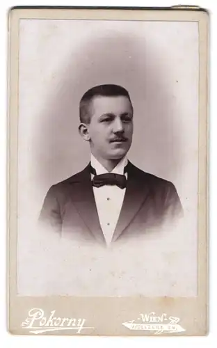Fotografie Pokorny, Wien, Wollzeile 24, Portrait eleganter Herr mit Oberlippenbart