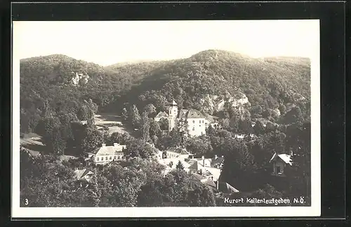 AK Kaltenleutgeben, Teilansicht mit Bergwald