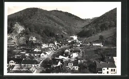 AK Kaltenleutgeben, Strassenpartie aus der Vogelschau