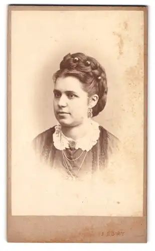 Fotografie J. Löwy, Wien, Weinburggasse 31, Portrait Dame im Biedermeierkleid mit hochgestecktem Zopf