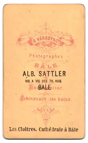 Fotografie Alb. Sattler, Basel, Ansicht Basel - Bale, Kreuzgang im Münster zu Basel, Les Cloitres, Cathedrale a Bale