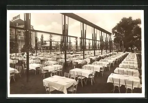 AK Budapest, Café-Bar Spolarich