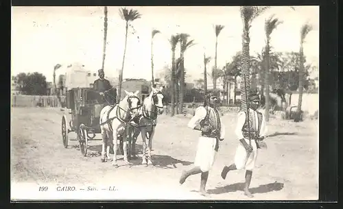 AK Le Caire, Sais courant