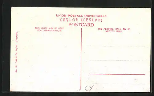 AK Colombo, Native Huts