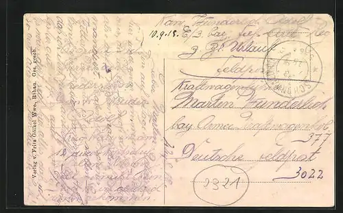 AK Rehau i. Bayern, Blick über die Dächer