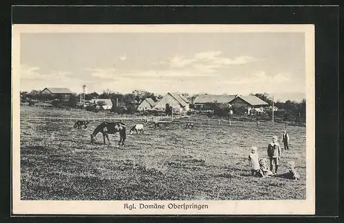 AK Blitzenreute, Kgl. Domäne Oberspringen