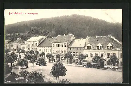 AK Bad Gottleuba, Marktplatz mit Gasthaus zum Kronprinzen