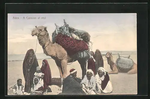 AK Aden, A Caravan at rest, Kamel