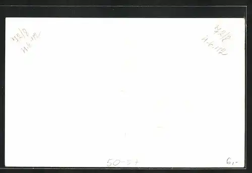 AK Nilpferd-Jungtier im Gehege