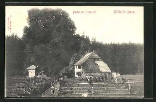 AK Schierke /Harz, Partie im Oberdorf