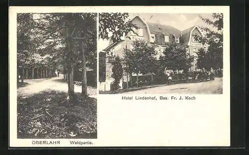 AK Oberlahr /Westerwald, Hotel Lindenhof, Waldpartie