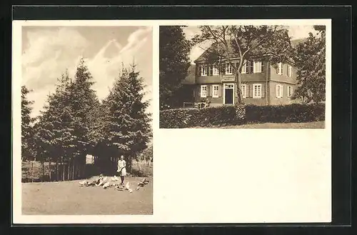 AK Flammersfeld /Westerwald, Gasthaus Westerwälder Hof, Junge Frau mit Gänsen