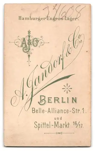 Fotografie A. Jandorf & Co, Berlin, Spittel-Markt 16 /17, Ältere Dame in besticktem dunklem Seidenkleid trägt Ohrringe