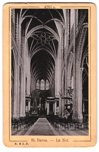 Fotografie Römmler & Jonas, Dresden, Ansicht Gand, St. Bavon, La Nef, Kathedrale Innenansicht