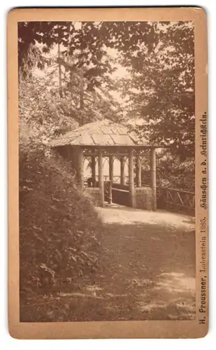 Fotografie H. Preussner, Lobenstein, Ansicht Schönbrunn, Häuschen auf dem Heinrichstein