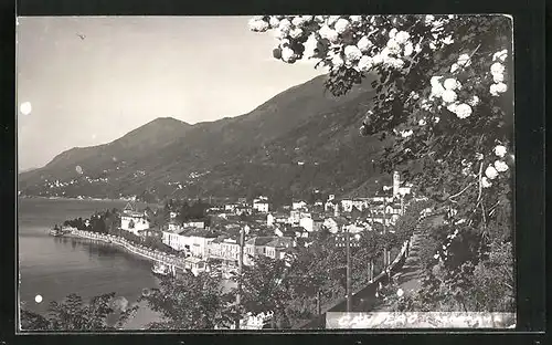 AK Cannero, Blick auf die Küstenstadt