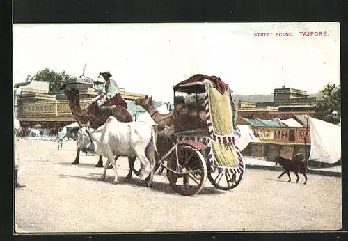 AK Tajpore, Mit Lasttieren auf dem Weg zum Marktplatz