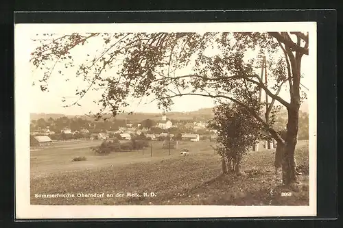 AK Oberndorf an der Melk, Blick auf Ort von Wiese aus