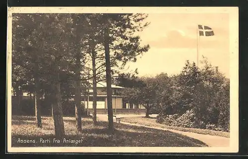 AK Assens, Parti fra Anlaeget, Dänemark-Fahne