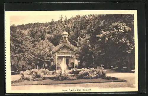 AK Bad Reinerz, Laue Quelle
