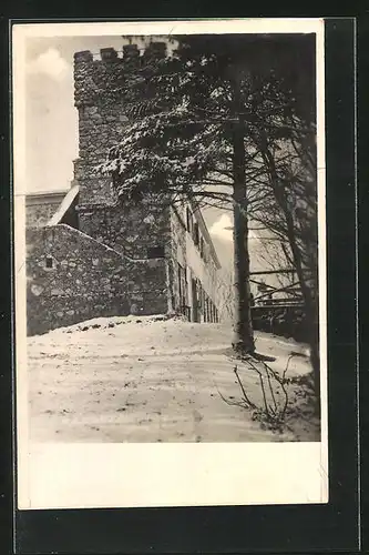 AK Kaltenleutgeben, Gasthaus am Julien-Turm, Naturfreundehaus auf dem Höllenstein