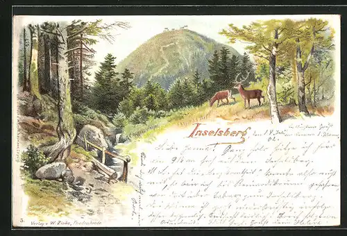 Lithographie Inselsberg, Waldszene mit Bachlauf und Rotwild