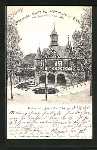 AK Mühlhausen i. Thür., Restaurant Popperoder Quelle