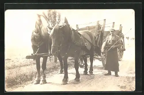 Foto-AK Kutscher am Pferdegespann