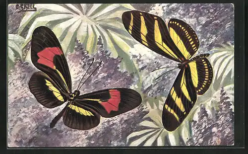 Künstler-AK Bunte Schmetterlinge an Blumenstrauch