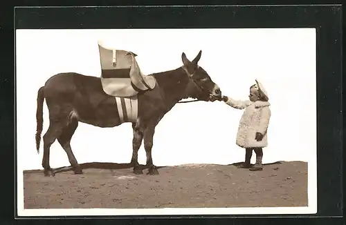 Foto-AK Kleines Mädchen füttert Maultier