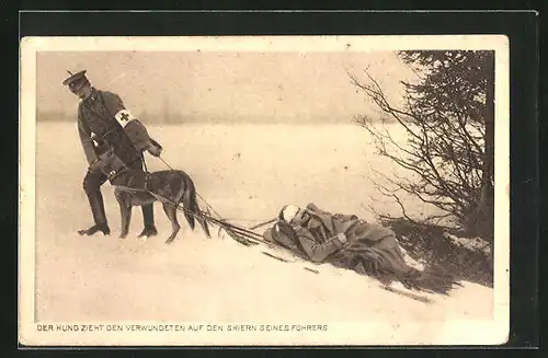 AK Hund zieht Verwundeten auf den Skiern seines Führers