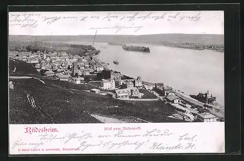 AK Rüdesheim, Blick vom Niederwald auf den Ort