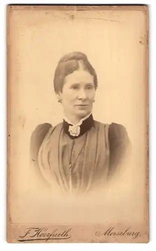 Fotografie F. Herrfurth, Merseburg, Brühl 4, Portrait Edeldasme mit Halskette & Blüten-Brosche, datiert 1891