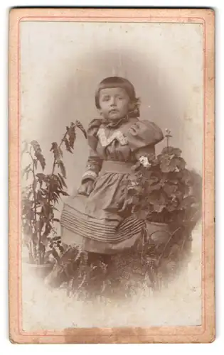 Fotografie Max Rutschmann, Rotthalmünster, Portrait kleines Mädchen im Kleid