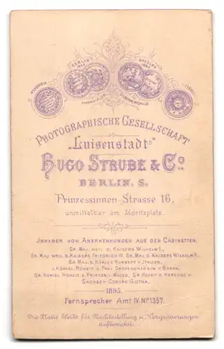 Fotografie Hugo Stube & Co, Berlin-S., Prinzessinen-Strasse 16, Portrait junger Herr im Anzug mit Fliege