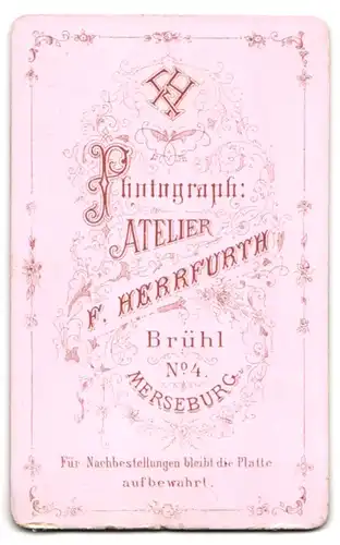 Fotografie F. Herrfurth, Merseburg, Brühl 4, Portrait junger Herr im Anzug mit Fliege