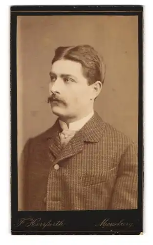 Fotografie F. Herrfurth, Merseburg, Brühl 4, Portrait junger Herr im Anzug mit Moustache