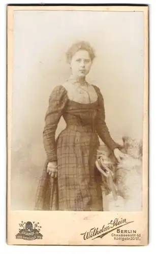 Fotografie Wilhelm Stein, Berlin, Chaussee-Strasse 66, Portrait junge Dame im karierten Kleid