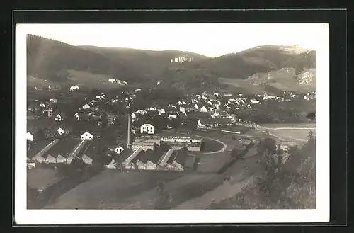 AK Nedvedice, Celkový pohled