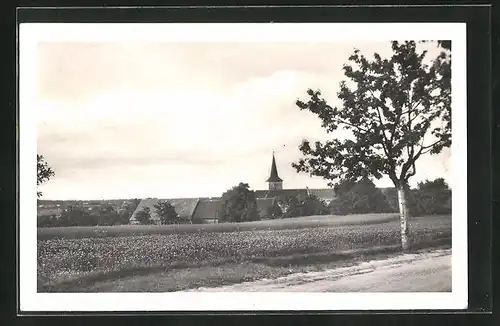 AK Domásov, Ortsansicht aus der Ferne