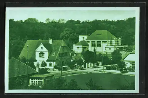 AK Veseli n. Mor., Sokolovna, Ortspartie mit Waldstück