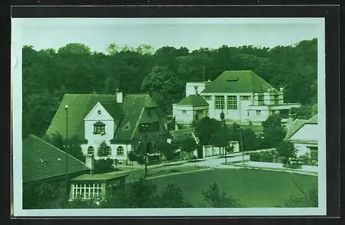 AK Veseli n. Mor., Sokolovna, Strassenpartie am Waldrand