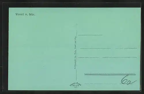 AK Veseli n. Mor., Sokolovna, Strassenpartie am Waldrand