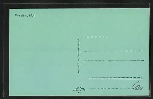 AK Veseli n. Mor., Sokolovna, Strassenpartie am Waldrand