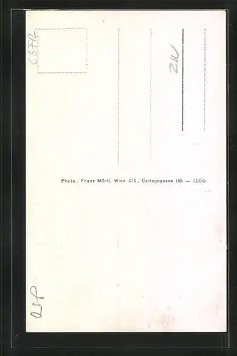 AK Znaim a. d. Thaya, Strasse der SA mit Rathausturm