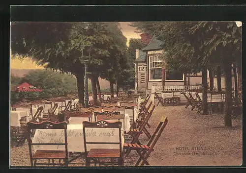 AK Rentzschmühle /V. Schweiz, Hotel Steinicht