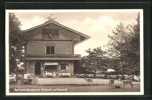 AK Potsdam, Bayrisches Häuschen im Wildpark und Damwild